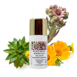 Bio kövirózsa-körömvirág balzsam - 15 ml