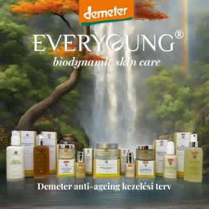 Demeter anti-ageing kezelési terv